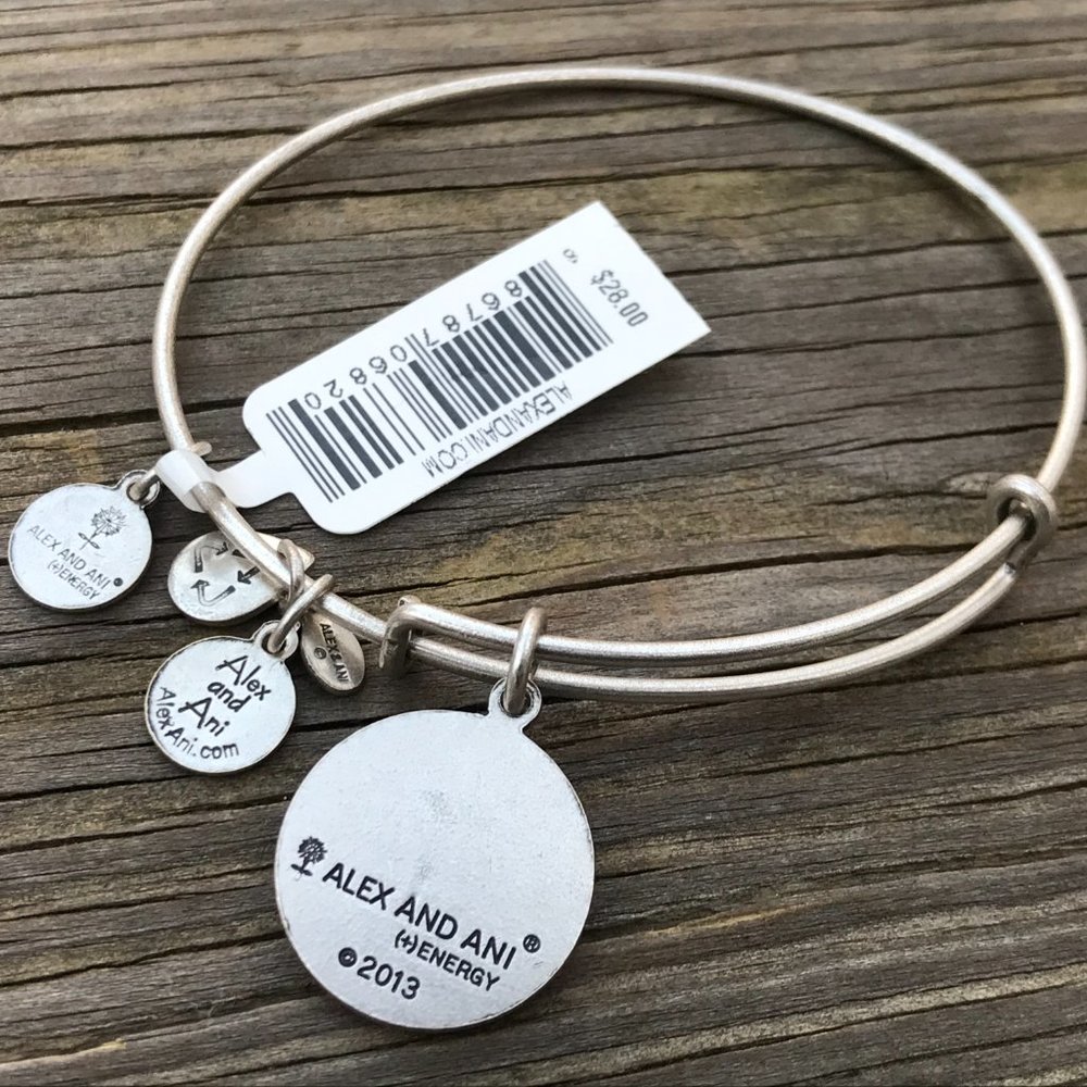 Alex and Ani Bracelet Silver Tone Zodiac AQUARIUS - Picture 4 of 6